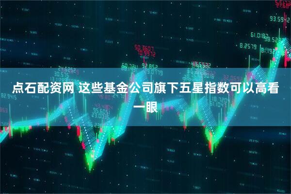 点石配资网 这些基金公司旗下五星指数可以高看一眼