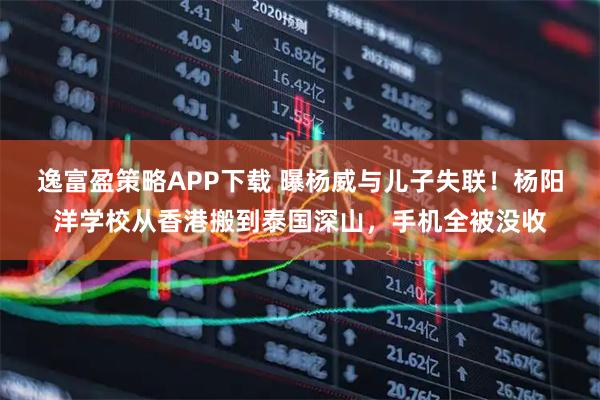 逸富盈策略APP下载 曝杨威与儿子失联！杨阳洋学校从香港搬到泰国深山，手机全被没收